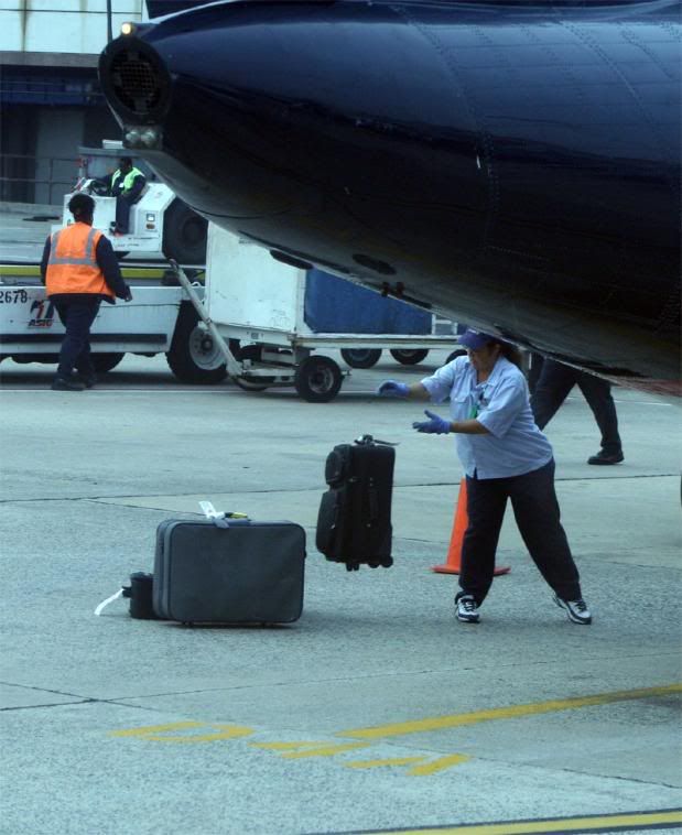 wings air baggage